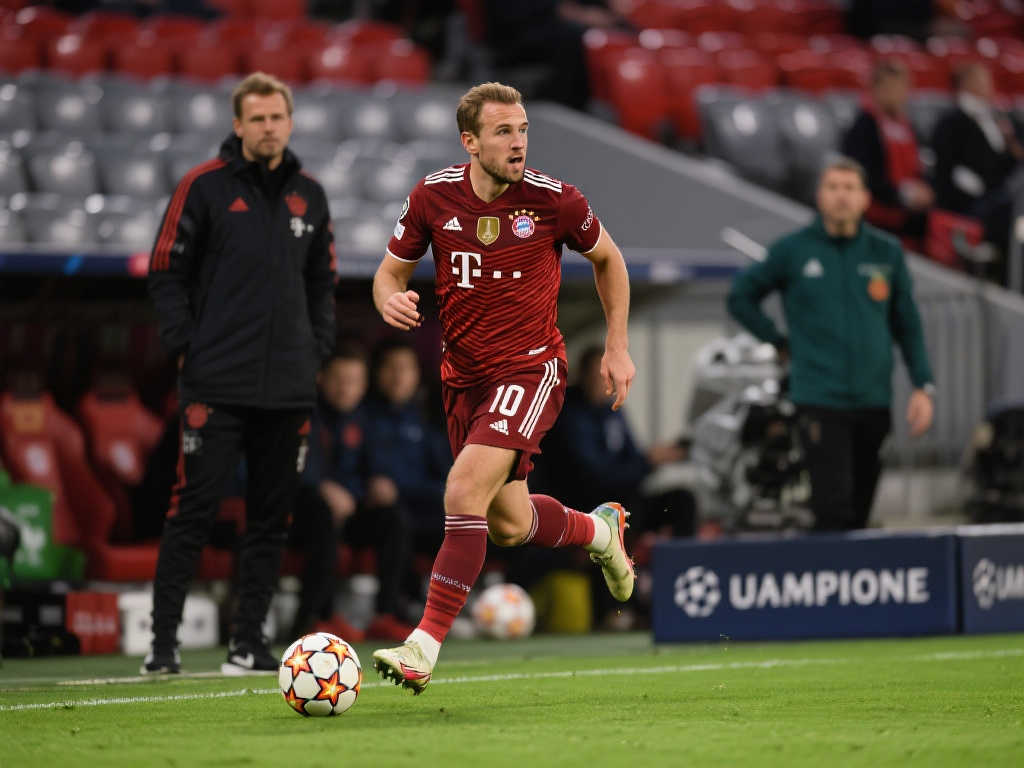 围内的足球 围内的足球